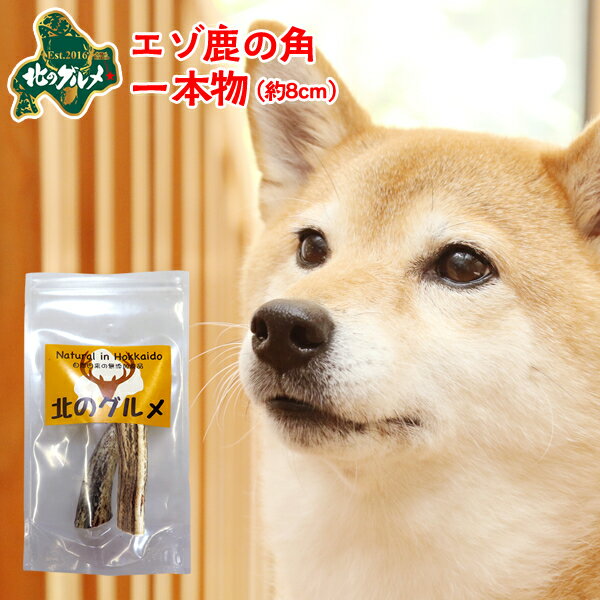 鹿 角 犬 北海道産 エゾ鹿 の 角ガム デンタルケア 1本物8cm×2本入り 高たんぱく質＆低脂肪・低カロリー えぞ鹿肉 エゾシカ肉 シカ肉 ジビエ ドックフード 犬用おやつ 犬のおやつ 犬のオヤツ いぬのおやつ 高齢犬 国産 【ペット用品】【ss】