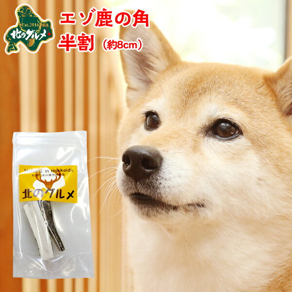 鹿 角 犬 北海道産 エゾ鹿 の 角ガム デンタルケア 半割8cm×2本入 高たんぱく質＆低脂肪・低カロリー えぞ鹿肉 エゾシカ肉 シカ肉 ジビエ ドックフード 犬用おやつ 犬のおやつ 犬のオヤツ いぬのおやつ 高齢犬 国産 【ペット用品】【ss】