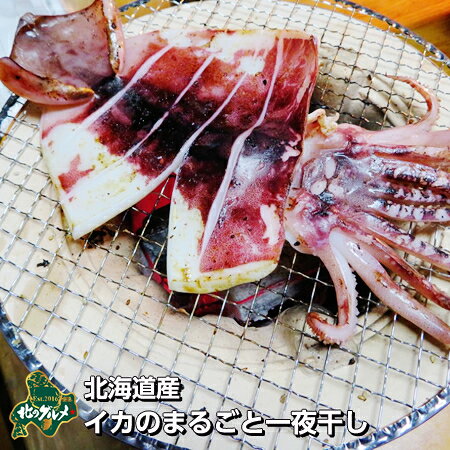 https://thumbnail.image.rakuten.co.jp/@0_mall/kitanogourmet/cabinet/meets/ika01.jpg