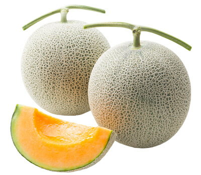 北海道産 赤肉メロン 1.6kg前後 1玉入/他商品同送不可/10月上旬迄のお届け/届日指定不可のサムネイル