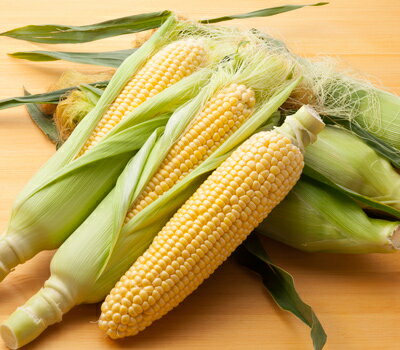 . 北海道産 とうもろこし 2Lサイズ10本/送料込/他商品同送不可/7月下旬-9月上旬迄のお届け/届日指定不可