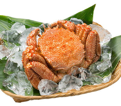 浜ゆで毛蟹（冷凍） 350g前後