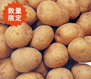 今金男爵じゃがいも Lサイズ 5kg/他商品同送不可/10月中のお届け/届日指定不可/【お届け日指定不可です!!!】