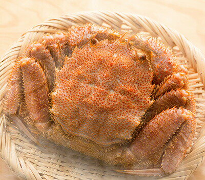 . 釜あげ毛がに【定温蒸らし製法】 活がにの状態で500g前後 . 釜あげ毛がに【定温蒸らし製法】 活がにの状態で500g前後