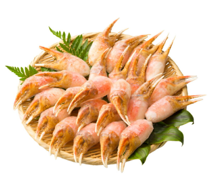 ボイルずわいがに爪 600g前後