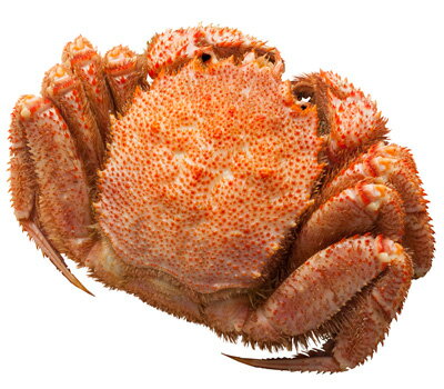 . 浜ゆで毛がに（フローズンチルド・解凍品） 400g前後