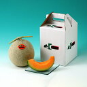 ふらのメロン1.3kg×1玉(1020)【送料無料】(差し入れ)(お取り寄せ)(お中元)(ギフト)(贈答品)