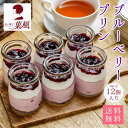 【7/4 20時~ 開始2時間限定 全品20%OFF】 ブルーベリープリン 【12個入】 ブルーベリー プリン お取り寄せ 冷凍 おいしいプリン 高級菓子 瓶 ...