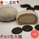 チョコ生大福 【4個入】 母の日ギフト 和菓子 大福 ギフト クリーム セット チョコクリーム チョコレート 柔らかい スイーツ プレゼント 生クリーム大福 クリーム大福 贈り物 チョコ大福 お取り寄せスイーツ 個包装 和スイーツ お菓子 生菓子