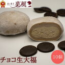 チョコ生大福 【10個入】 大福 ギフト チョコレート プレゼント 個包装 チョコ菓子 和洋菓子 詰め合わせ スイーツ 絶品 お取り寄せスイーツ 美味しいお菓子...