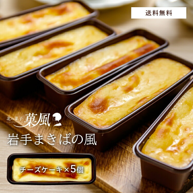 チーズケーキ（予算5000円以内） チーズケーキ 【5個入】 父の日スィーツ チーズケーキギフト お取り寄せチーズケーキ 個包装 ギフト 誕生日 小分け 冷凍 プレゼント ベイクドチーズケーキ お取り寄せスイーツ チーズケーキバー 送料無料 チーズ スイーツ 冷凍ケーキ プチケーキ