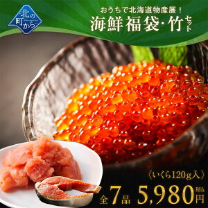 北海道知床の海鮮福袋 竹セット 全7品5,980円！【 いくら醤油漬け120g＋たらこ切れ子150g＋他5品】