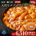 【最大6,510円OFFクーポンあり】ウニ 希少な知床・羅臼産 塩水ウニ 100g うに 雲丹 生ウニ 生うに 北海道産 ミョウバン不使用 塩水パック 無添加 ...