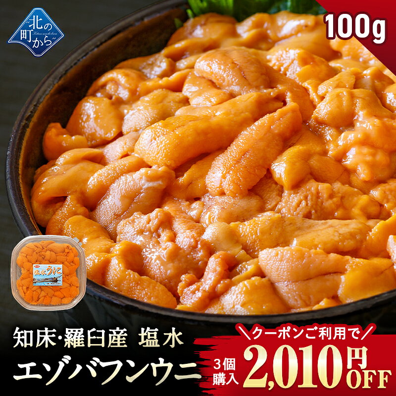 【期間限定500円OFF！】塩水ウニ 希少な知床・羅臼産 100g エゾバフンウニ うに 雲丹 生ウニ 生うに 塩水生うに バフンウニ 北海道産 ミョウバン不使用 塩水パック 無添加 国産 高級 ギフト うに丼 雲丹 お取り寄せ グルメ 送料無料【同梱不可】【10日以内発送予定】