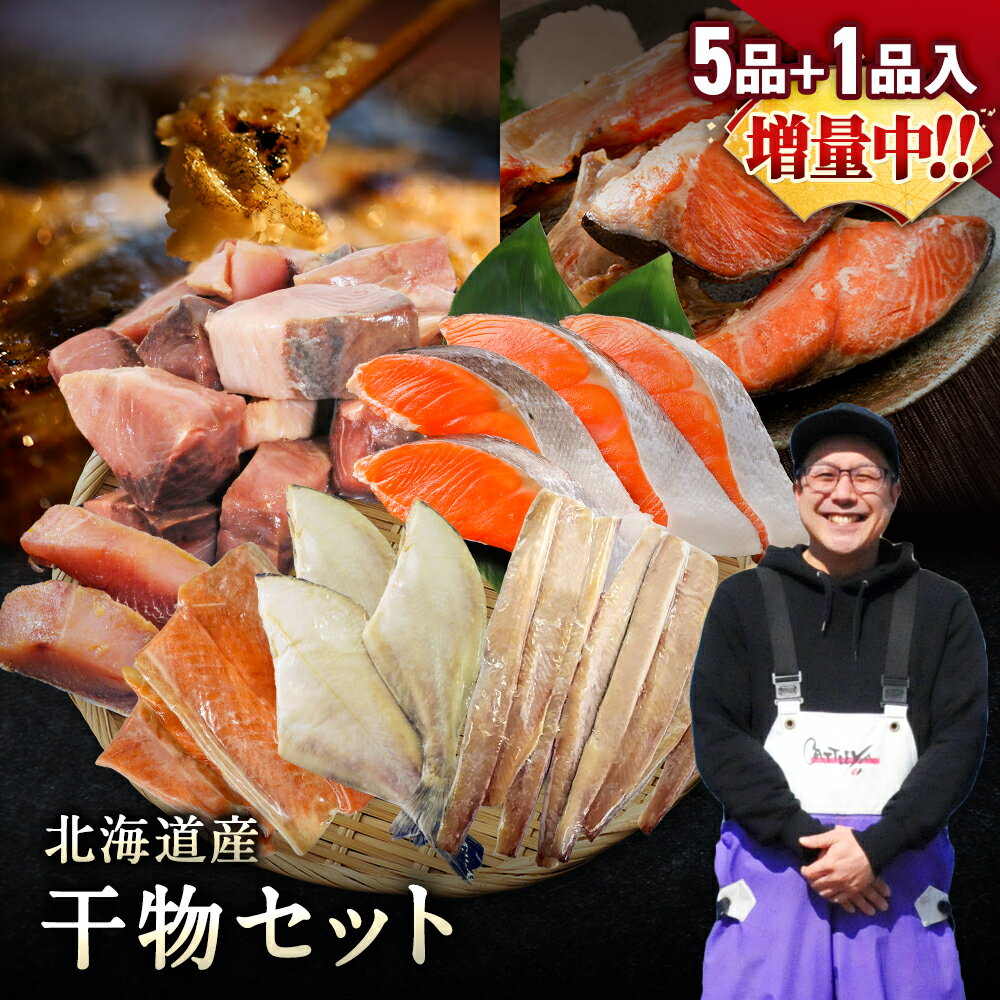 北海道産 干物 詰め合わせ 全5種+1種 セット 一夜干し 国産 冷凍 焼き魚 海鮮 おかず おつまみ 肴 お取り寄せ グルメ ギフト プレゼント 誕生日 送料無料