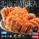 毛ガニ 希少な知床産 350g～400g  採れたての毛蟹を新鮮なうちに浜茹でに！ 毛蟹 毛カニ 毛かに 毛がに カニ 蟹 北海道