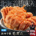 【3個まとめ買いで3,840円OFF!】毛ガニ 希少な知床産 300g～350g 【浜茹で急速冷凍 姿】 採れたての毛蟹を新鮮なうちに浜茹でに！ 毛蟹 毛カニ 毛かに 毛がに カニ 蟹 北海道