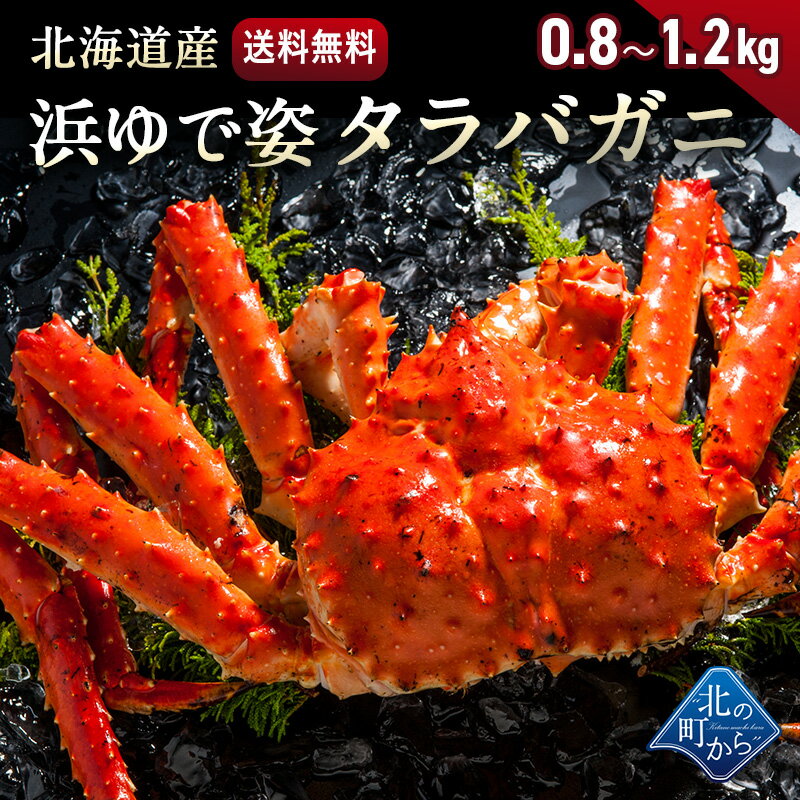 タラバガニ 北海道・オホーツク海産 【浜茹で急速冷凍 姿】 0.8kg～1.2kg 栄養価の高い身の引き締まったタラバガニ たらばがに 蟹 カニ かに