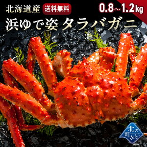 タラバガニ 北海道・オホーツク海産 【浜茹で急速冷凍 姿】 0.8kg〜1.2kg 栄養価の高い身の引き締まったタラバガニ たらばがに 蟹 カニ かに