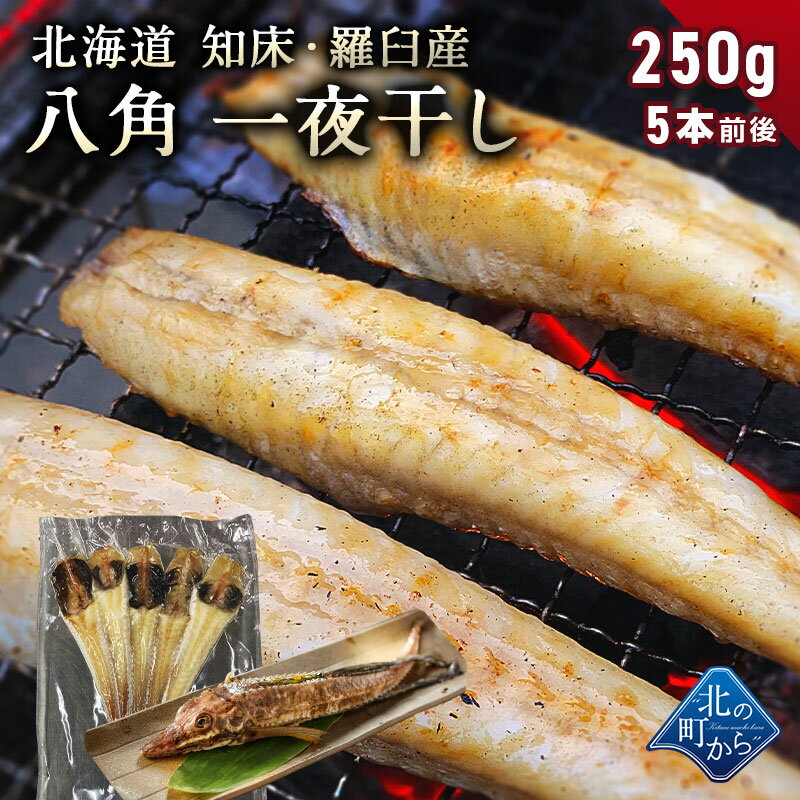 八角 北海道 知床・羅臼産 八角一夜干し 250g 5本前後入り ハッカク はっかく 魚 干物 冷凍干物 お取り寄せ 国産 珍味 BBQ