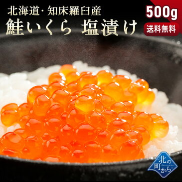 ＼クーポンあり！2個以上で7％OFF！/【鮭いくら 塩漬け 500g 知床・羅臼・網走産】 鮭イクラ 塩漬け 獲れたての新鮮さを保ったまま漁師が浜で手造りするイクラです！塩いくら 鮭いくら 鮭卵 1個で500g/2個で1kg/3個で1.5kg/4個で2kg/