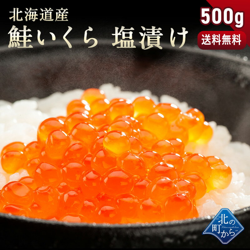 鮭いくら 塩漬け 500g 北海道産 鮭卵 