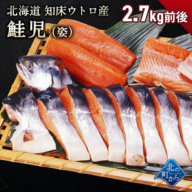 k10162a.jpg