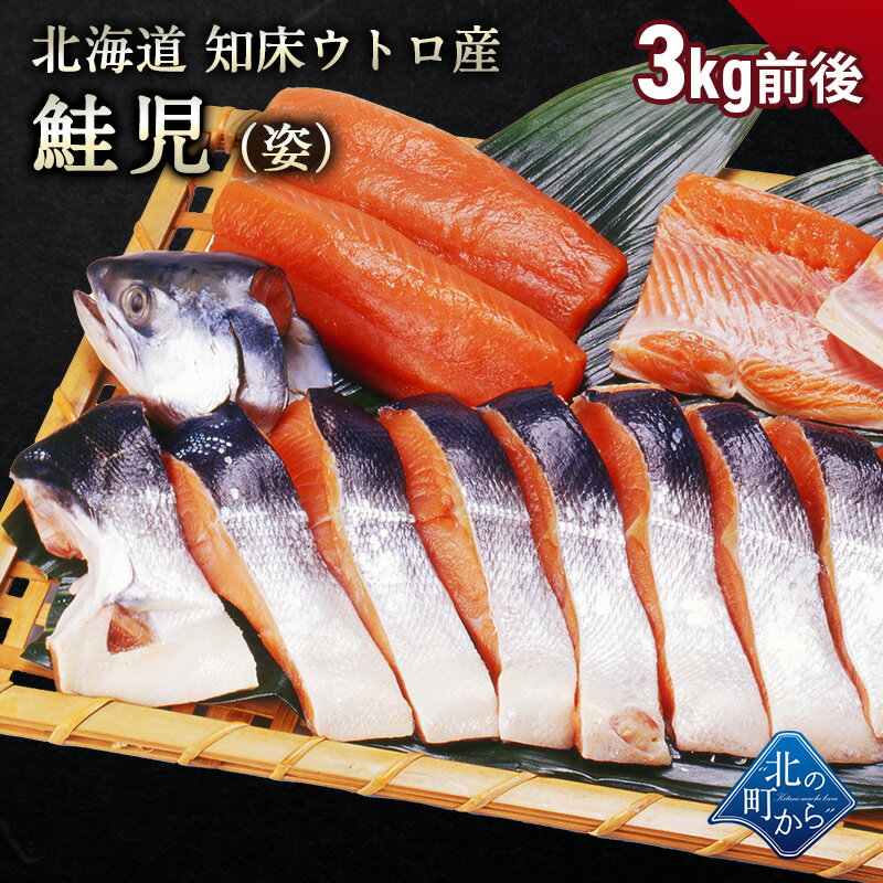 幻の鮭 鮭児 3kg前後 姿 北海道 知床ウトロ産 けいじ ケイジ 高級魚