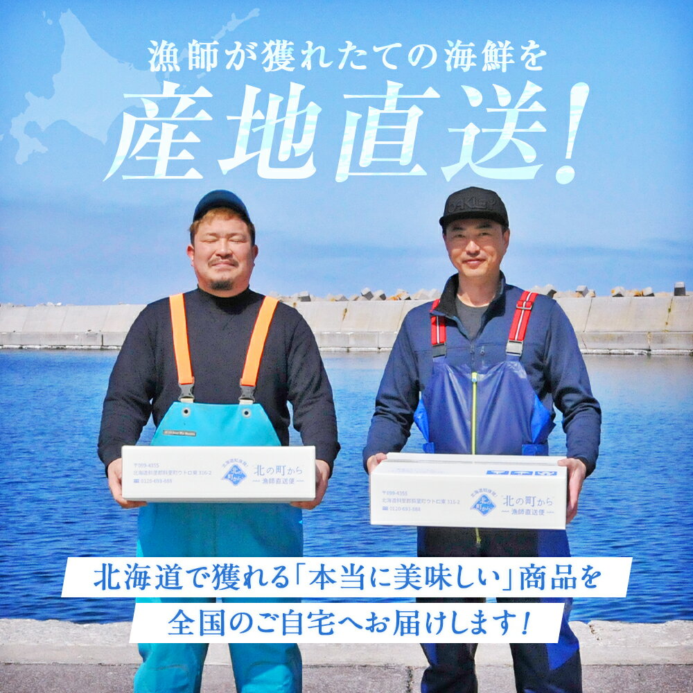 八角 北海道 知床・羅臼産 八角一夜干し 250g 5本前後入り ハッカク はっかく 魚 干物 冷凍干物 お取り寄せ 国産 珍味 BBQ 2