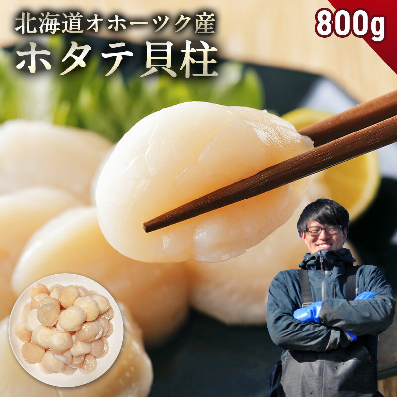 北海道 オホーツク産 ホタテ 800g ホ