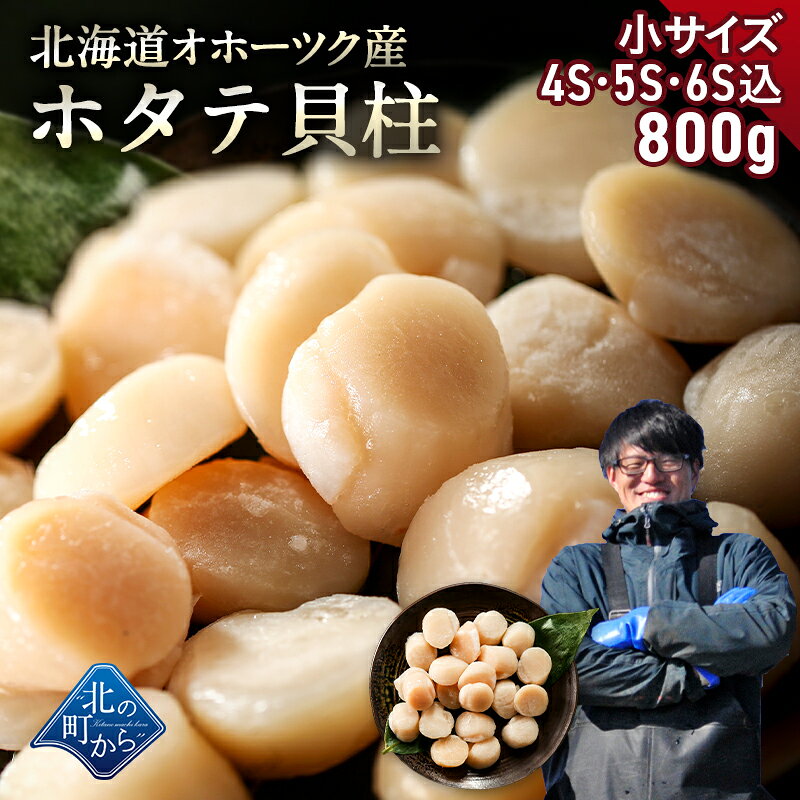 楽天市場】ホタテ 冷凍 5sの通販