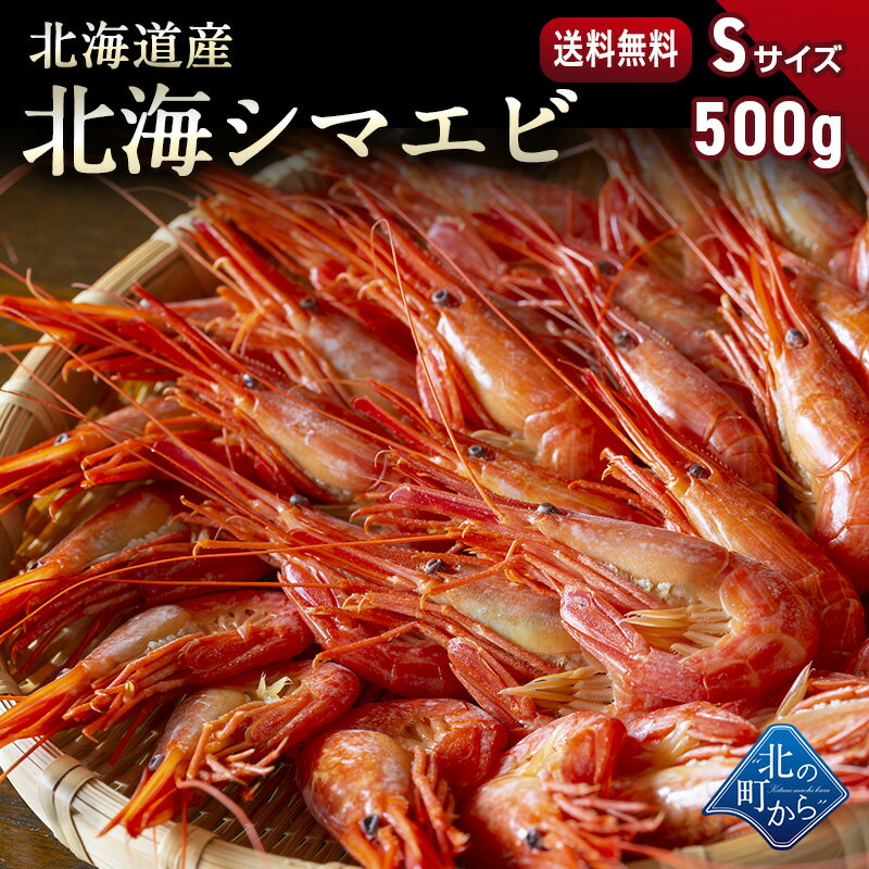 シマエビ 北海道産 北海シマエビ小500g 新鮮な素材の甘みと塩加減にこだわった極上逸品！シマエビ 海老 しまえび