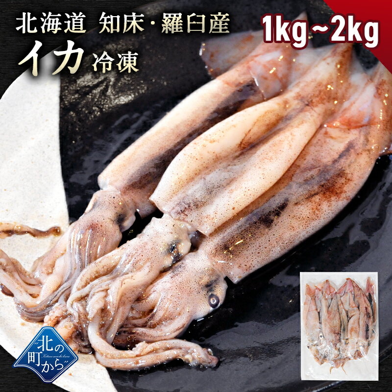 乐天商城 - 北海道 知床・羅臼産 スルメイカ 1kg(10杯前後) / 2kg(20杯前後) するめいか まめいか 豆いか いか イカ 烏賊 生冷 冷凍 お取り寄せ 国産