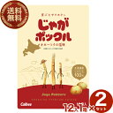 【送料無料】カルビーじゃがポックル 【オホーツクの塩味】12箱入2ケーススナック おやつ お菓子 ギフト プレゼント 北海道 お土産 お取り寄せ