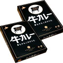 <送料込>ヨシミ(YOSHIMI) 牛カレー 中辛 200g×2箱 同梱可です北海道 お土産 札幌 ギフト 贈り物 カレー レトルト 人気店 お取り寄せ