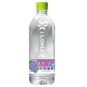 <送料込> 北海道限定 い・ろ・は・す はすかっぷ 540ml×24本1ケース 着日指定できませんペットボトル ハスカップ ミネラルウォーター コカ・コーラ 飲料 お取り寄せ
