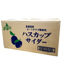 <送料込>小原 ハスカップサイダー500ml×24 1ケース 発送まで5日ほど頂きます 北海道 お土産 ご当地 炭酸水 ドリンク 飲料水 ギフト 人気 お取り寄...