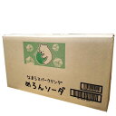 <送料込>小原メロンソーダ500ml×24 1ケース 発送まで5日ほど頂きます 北海道 お土産 ご当地 炭酸水 ドリンク 飲料水 ギフト 人気 お取り寄せ