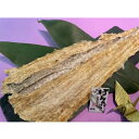 南部の乾珍味 ぽんたら【80g】北海道 お土産 お取り寄せ 珍味 おつまみ たら 鱈 つまみ ギフト 乾物 酒の肴 父の日 母の日