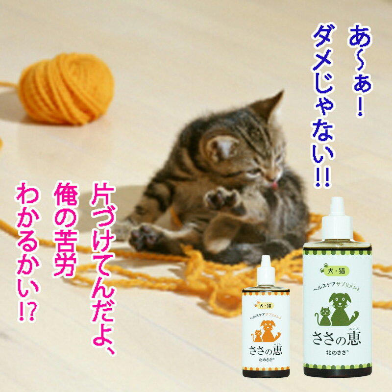 ペット サプリメント【ささの恵】50g×5本＋100g×5本 無添加 口臭 消臭 犬サプリ 猫サプリ 歯茎の腫れ ビタミン デンタルケア ポリフェノール 歯みがき 腸内環境 便秘 耳 目 肌 毛並 抗菌 キシロオリゴ糖 乳酸菌 ビフィズス菌 酪酸菌