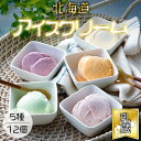 【乳蔵 北海道アイスクリーム 5種12個】江戸屋 北海道 アイスクリーム 乳蔵 牛乳 バニラ ストロベリー いちご ハスカップ メロン 贈り物 プレゼント ギフ...