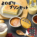 【北海道よくばりプリンセット】江戸屋 焼プリン アイス おやつ 洋菓子 誕生日 洋菓子 お土産 贈り物 スイーツ ギフト プレゼント 贈り物 喜ばれる 北海道 ...