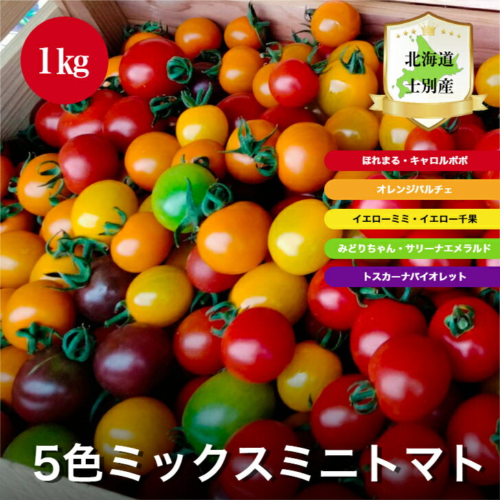 【5色ミックスミニトマト 1kg】北海道 士別 トマト 美味しい 低農薬 ランダム ほれ...