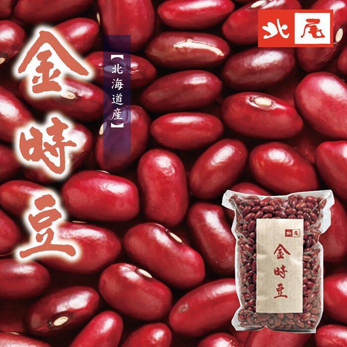 【乾物】北海道産 大正金時豆500g *手選別*