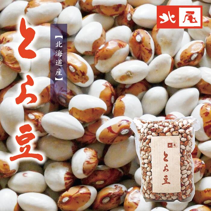 【乾物】北海道産 とら豆500g *手選別*