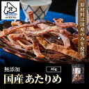 ＼お試しサイズ／あたりめ 無添加 国産 45g プレゼント...