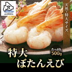 プレゼント ギフト 特大 ぼたんえび ボタン海老 オス 500g 脅威のBIGサイズ ぼたんえび 牡丹海老 牡丹えび 海鮮 海産物 ギフト プレゼント 贈り物 高級 ポイント消化 お取り寄せグルメ おつまみセット 酒が旨いつまみ お土産 母の日 父の日