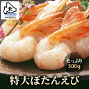 プレゼント ギフト 特大 ぼたんえび ボタン海老 オス 500g 脅威のBIGサイズ ぼたんえび 牡丹海老 牡丹えび 海鮮 海産物 ギフト プレゼント 贈り物 ...