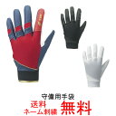 【ネーム刺繍無料】★SSK(エスエスケイ) 守備用手袋 BG1004S【送料無料/野球用品】