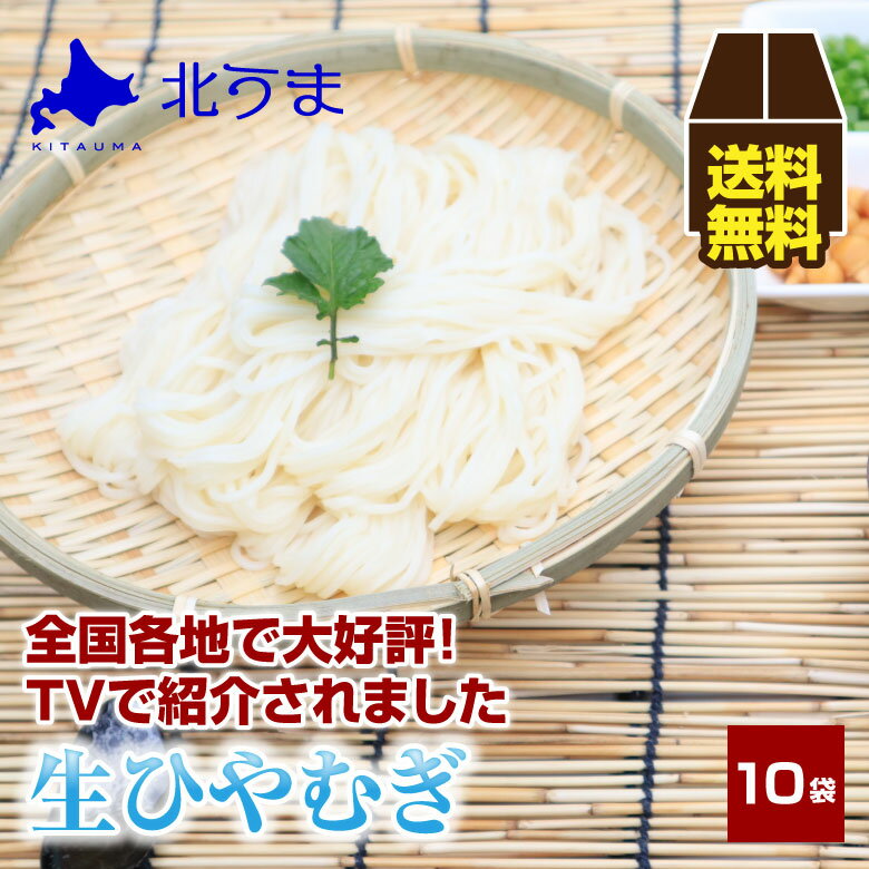 ひやむぎ 大盛り200g×10袋【生ひやむ